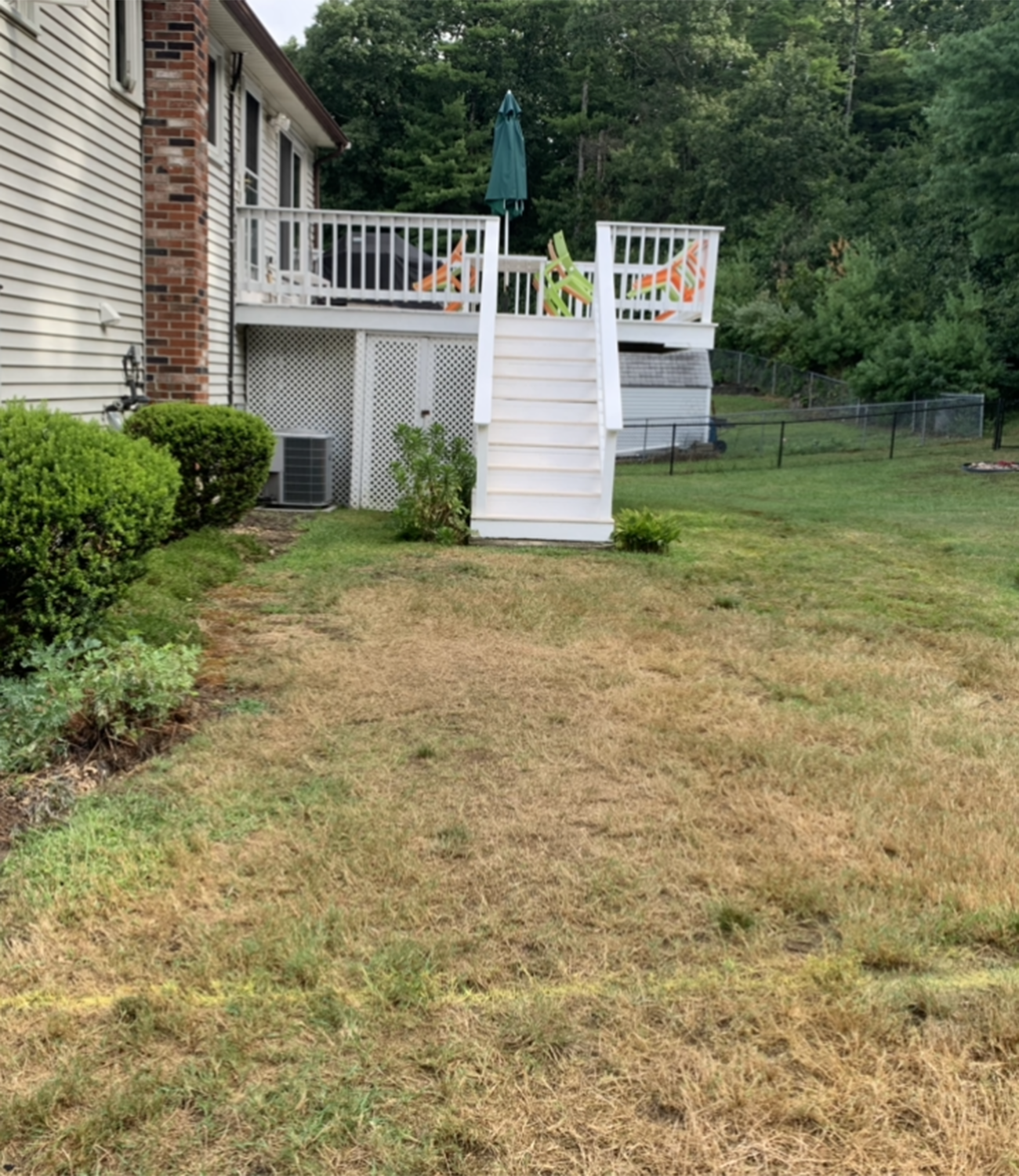 Patio Landscape Construction, Before and After