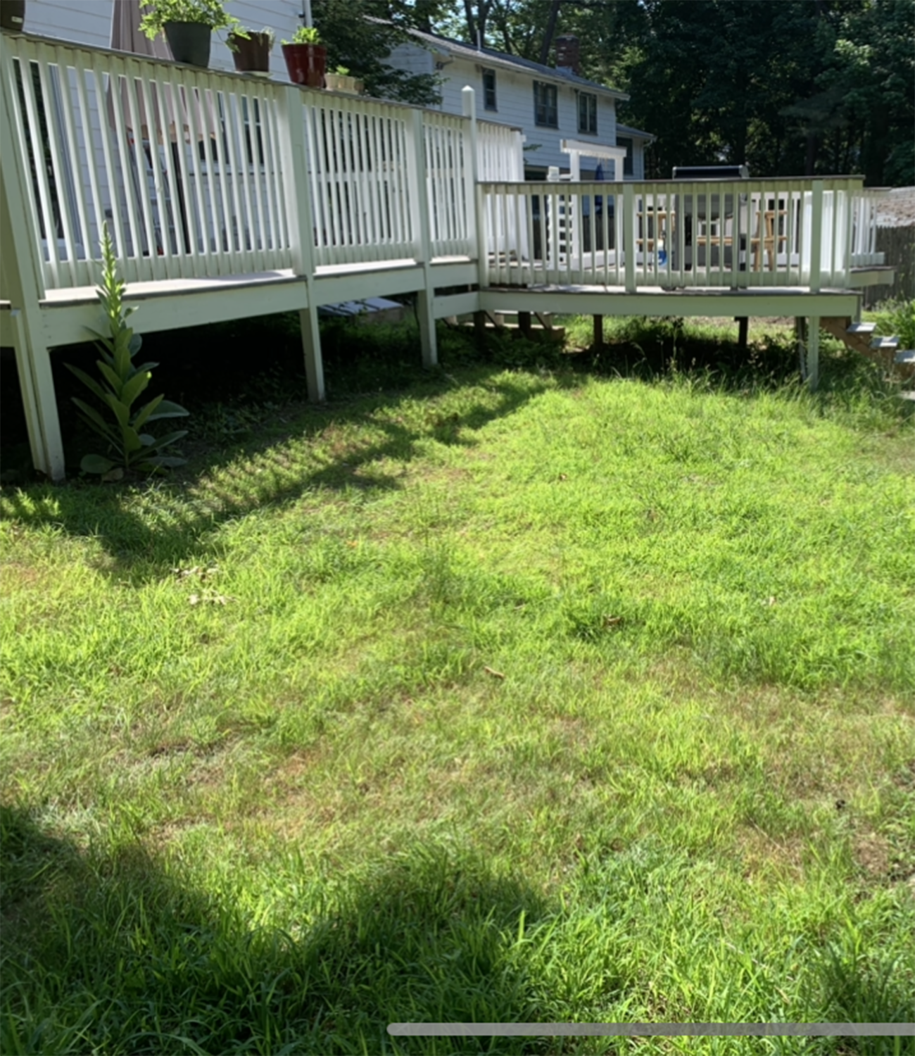 Patio Construction, Before and After